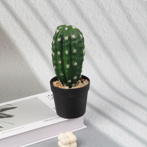 New Product Small Artificial Cactus Potted Plants Faux Plants Fake Plants