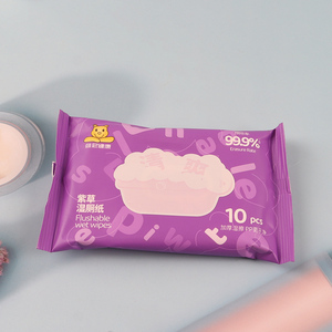 Wholesale Disposable Skin-Friendly Flushable Wet Wipes