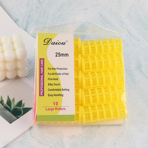 Top quality 10pcs 25mm hair roller set hair care